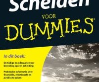 Scheiden voor dummies