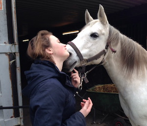 Paarden knuffelen