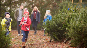 kerst duurzaam