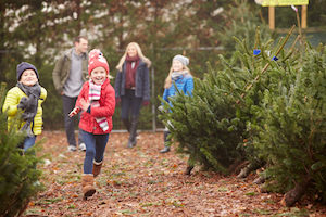 kerst duurzaam