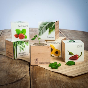 ecocube planten