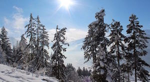 wintersportvakantie