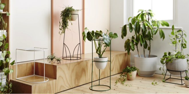 Botanisch interieur voor de zomer? 3 onmisbare items! - Mamas Botanisch interieur voor de zomer? 3 onmisbare items! - Mamas