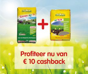 Ecostyle cashback