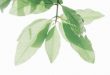 korting op groene energie