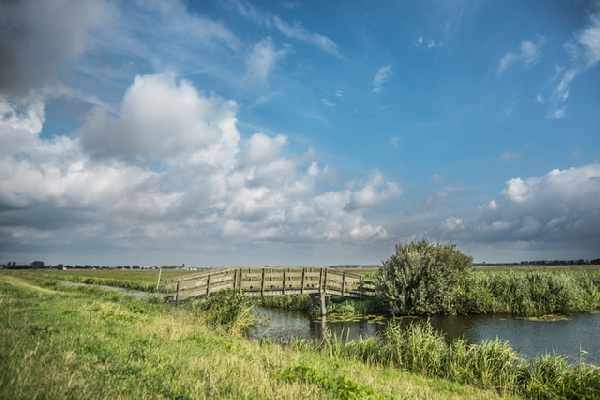 Fietsvakantie in Nederland