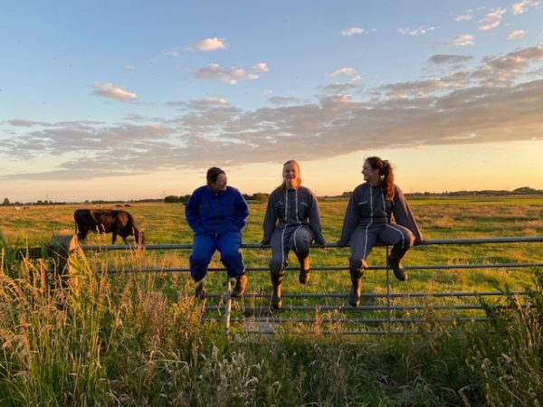 Zaai op de boerderij