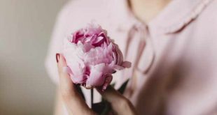 online bloemen bestellen en laten bezorgen