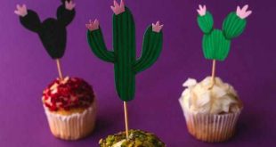 perfecte mini traktaties