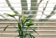 effectieve zonwering