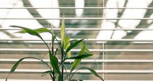 effectieve zonwering